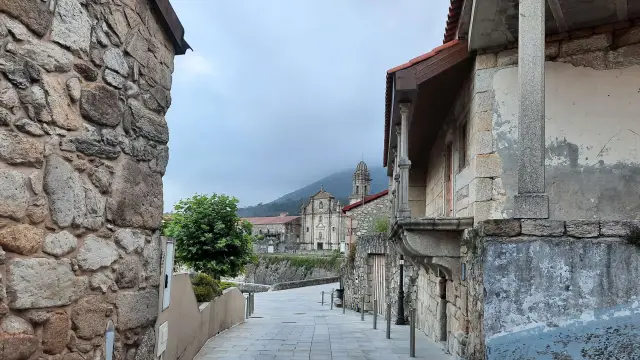 Чрезвычайно быстрое погружение помогает сапсанам маневрировать, чтобы поймать подвижную добычу: Детальное компьютерное моделирование показывает, почему соколы ныряют на свою добычу, используя те же за