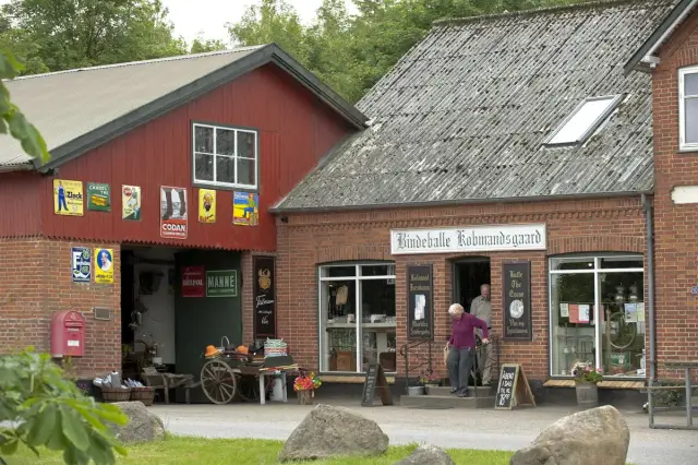 Первый генный драйв против вредителей сельскохозяйственных культур по всему миру: инновация устанавливает метод борьбы с инвазивной мухой, которая откладывает яйца на плодовых культурах, нанося миллио