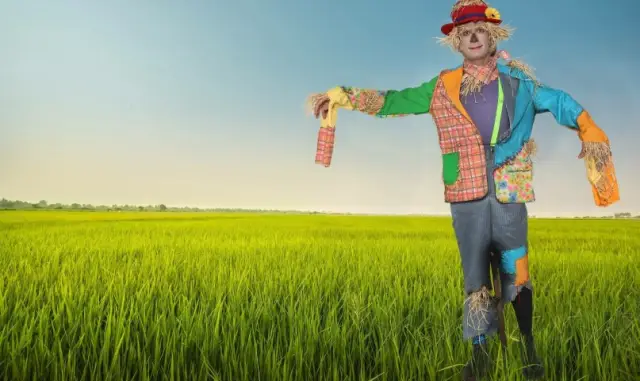 Грибок: хорошие, плохие и их случайные различия: исследователи выявили слабые места в грибковом патогене, губительном для посевов, сравнив его с генетически подобным грибком, который дает m