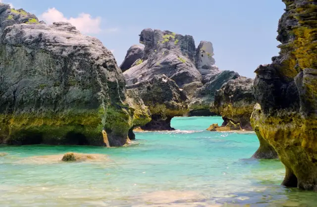 Самые маленькие микробы планеты исследуют в крупнейшем аквариуме страны: новое исследование изучает морские микробы, чтобы лучше понять организмы, живущие в воде, и их роль в экосистеме