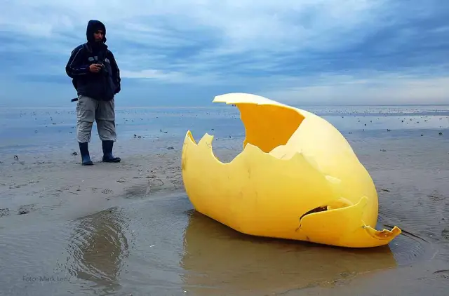 Воздействие человека на численность морских ежей: в самом длительном исследовании такого рода исследователи обнаружили, что популяции морских ежей сильно пострадали от изменений окружающей среды, вызв