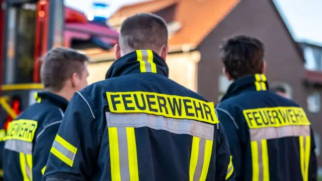 Потепление в будущем означает больше огня, меньше деревьев в западном очаге биоразнообразия: пожары и летняя засуха усиливаются в Кламате, что позволяет кустарникам заменить деревья