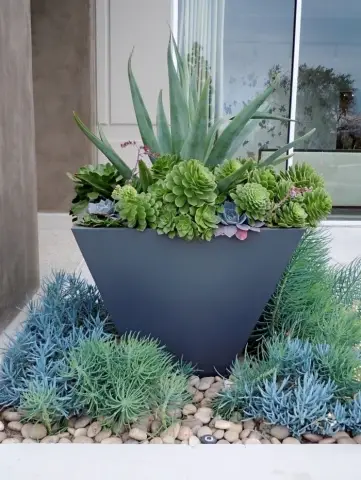 Растения получают возможность точно сбрасывать цветы и листья: исследование того, как опадают лепестки, и растения справляются с потерей. Чтобы защитить репродуктивные органы от бактериального и внешн