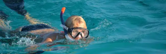 Морские животные могут слышать, как мы плаваем, плаваем на каяках и ныряем с аквалангом: люди производят много подводного шума, потому что мы создаем и толкаем под водой пузырьковые облака, которые ви