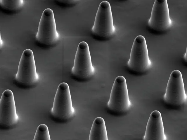 Вместе лучше: объединенный микроскоп предлагает беспрецедентный взгляд на биологические процессы: исследователи объединяют две микроскопические технологии для создания более четких и быстрых изображен