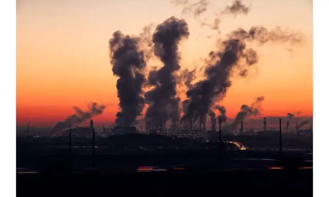 Продолжительное воздействие загрязненного воздуха приводит к генетическим изменениям в мозге крыс, показало исследование: понимание потенциального воздействия грязного воздуха на здоровье в бассейне Л