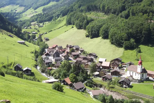 Простая программная ошибка исправлена: Горько-сладкий хлоропластный геном становится моделью: Горько-сладкий хлоропластный геном становится моделью для аннотаций и сравнительной геномики паслена