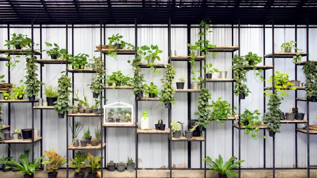 Пчелы приспосабливаются к сезонам благодаря питательным веществам в цветах и «грязной воде»: всплеск потребления кальция осенью и высокое потребление калия помогают подготовить пчел к более холодным м