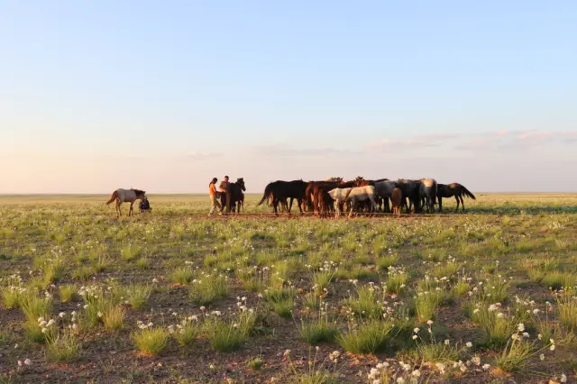 Самые ранние европейские свидетельства загрязнения свинцом обнаружены на Балканах: Загрязнение, связанное с металлами, началось на Балканах более чем за 500 лет до того, как оно появилось в Западной Е