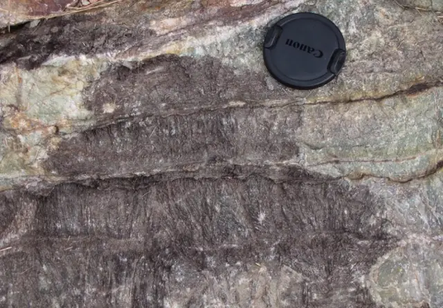 Земля могла поддерживать континентальную кору, жизнь раньше, чем предполагалось: ученые, изучающие древние горные породы, говорят, что кора могла образоваться, когда Земле было всего 350 миллионов лет