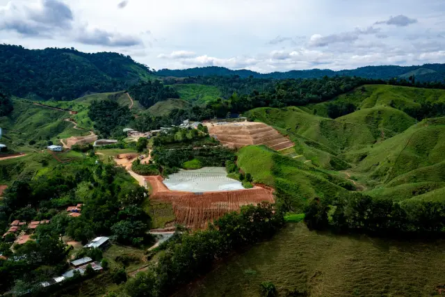 Выращенные в лаборатории нейроны улучшают дыхание у мышей после травмы спинного мозга: в доклиническом исследовании нейробиологи показали, что интернейроны V2a способствуют способности поврежденного о