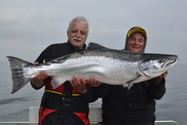 Влияние запутывания рыболовных снастей на основе уровня гормонов китов: новый метод анализа профилей гормонов показывает, что запутывание влияет на нормальное функционирование организма у усатых китов