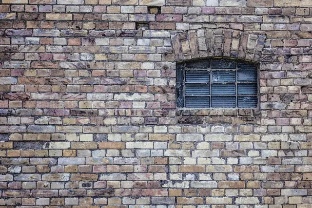 Юрская диета: почему наши знания о том, что ели древние птерозавры, могут быть неверными: исследования показывают, что знания о доисторических диетах часто основаны на устаревших идеях и могут быть не