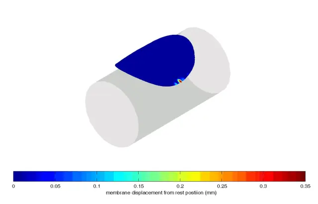 Улучшенные сборки генома обезьян дают новое представление об эволюции человека: лучшее понимание генетического влияния на различия мозга приматов и человека было также получено благодаря сравнительном