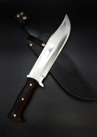 Новые осы названы в честь крокодила Данди и Тоблерона среди 17 новых родов и 29 видов: пять видов также названы в честь учреждений, в которых хранятся одни из самых больших коллекций ос