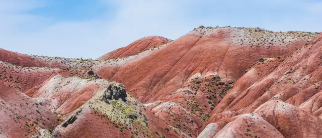 Древние кости показывают, что 2 вида китов исчезли из Средиземного моря: Древние кости из римских археологических раскопок показывают, что 2 вида китов исчезли из Средиземного моря