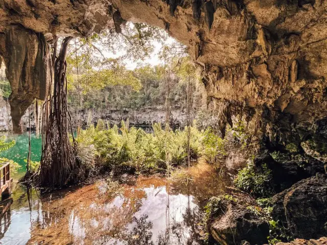 Летучие мыши хранят ген, украденный у древнего вируса, похожего на лихорадку Эбола, - вот как они могут его использовать: исследование показывает, что ген, кодирующий вирусный белок, был бережно сохра