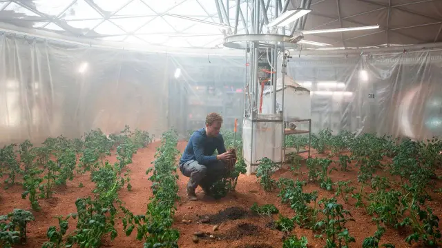 Блокировка солнечного света для охлаждения Земли не уменьшит ущерб урожаю от глобального потепления: солнечная геоинженерия может снизить температуру и тепловой стресс, но также уменьшить фотосинтез