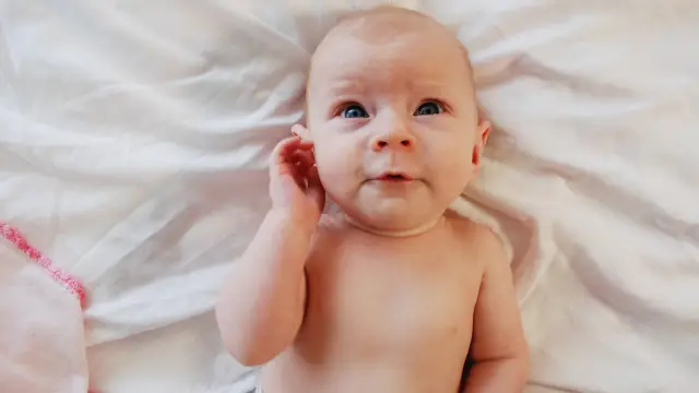 Большинство американцев принимают генную инженерию животных, приносящую пользу здоровью человека: общественное беспокойство по поводу биотехнологии животных сосредоточено на рисках для животных, людей