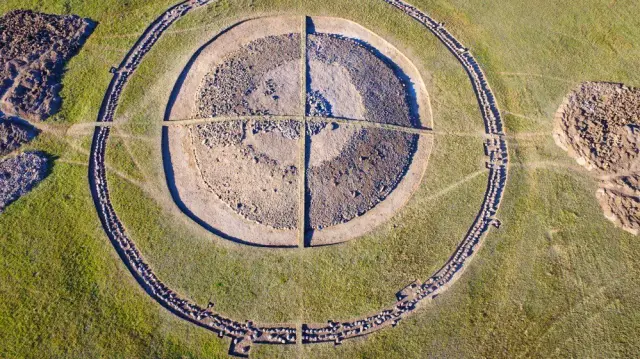 Геномы обезьяноподобных паразитов раскрывают происхождение и эволюцию основной причины малярии за пределами Африки