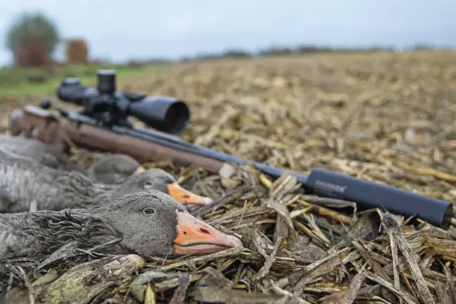 Discovery может помочь фермерам бороться с клопами-вонючками и сэкономить деньги на борьбе с вредителями: Экологически безопасные и устойчивые альтернативы инсектицидам могут сэкономить фермерам милли