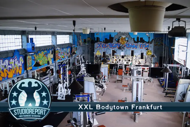 Добираемся до истоков рациона наших древних кузенов: растопыренные корни зубов показывают, как южноафриканские гоминиды, австралопитеки африканские и парантропы робустные пережевывали свою пищу