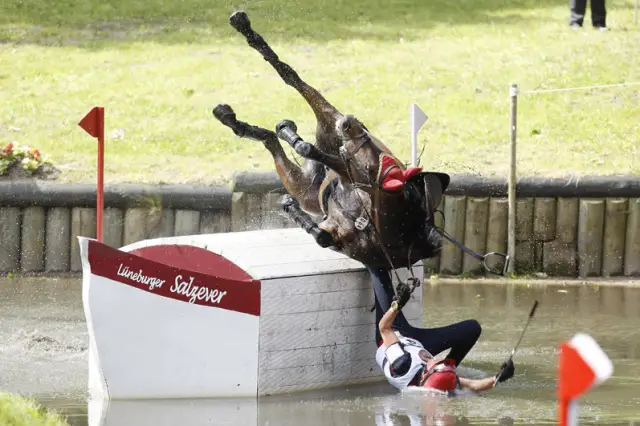 Биомеханика жевания больше зависит от размера животного, а не от диеты: исследователи подвергли напечатанные на 3D-принтере структуры челюстных суставов медведей, волков и других плотоядных давлению д