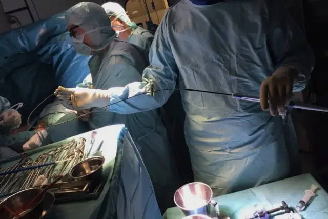 Механо-ощущение и сопротивление во время развития крыла плодовой мушки: то, как клетки устраиваются в точные тканевые структуры, такие как крылья, является ответом и сопротивлением глобальному механич