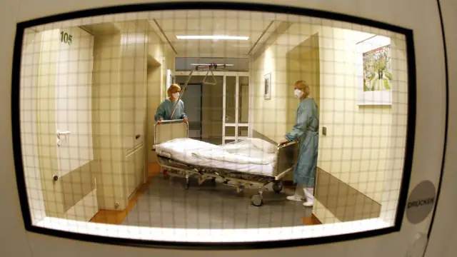 Новые средства борьбы с «неубиваемыми» бактериями в медицинских учреждениях: канадские ученые определили новую клеточную мишень для ослабления P. aeruginosa - серьезной угрозы для пациентов с муковисц