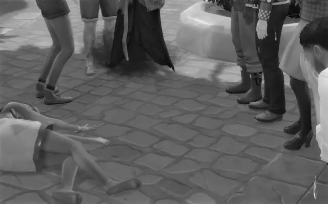 Более 4 миллиардов птиц летают над головой во время осенней миграции: ученые используют радар, чтобы пролить свет на огромное количество мигрирующих птиц и узнать, сколько из них может не вернуться