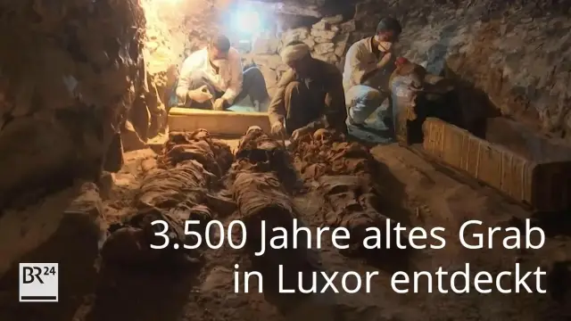 3500-летняя тыквенная специя? Археологи обнаружили самое раннее употребление мускатного ореха в пищу