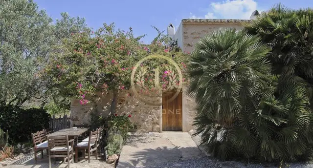 Черты неандертальца в ископаемых зубах возрастом 450 000 лет с итальянского полуострова: эти зубы дополняют новую картину сложной эволюции человека в среднеплейстоценовой Евразии