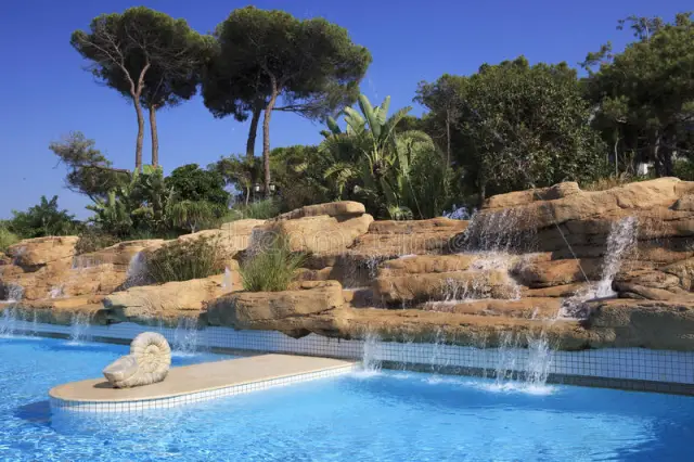 Тропические бабочки в горах крупнее: новое исследование в горячих точках биоразнообразия изучало корреляцию между размером тропических бабочек и их высотным распространением