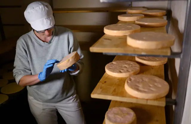 Придание бактериям экстремальных форм раскрывает непростую природу клеточного деления: звезды, треугольники и пятиугольники демонстрируют приспособляемость и надежность механизмов бактериального делен