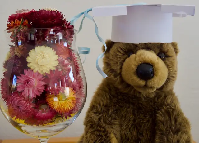 Ошеломляющие масштабы антропогенного воздействия на планету раскрыты в новом отчете: популяции млекопитающих, птиц, рыб, рептилий и земноводных в среднем сократились в размере на 60 процентов чуть бол