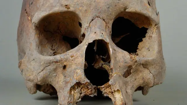 Флотилии дронов могут помочь в поисках потерявшихся туристов: система позволяет дронам совместно исследовать местность под густыми пологами леса, где сигналы GPS ненадежны