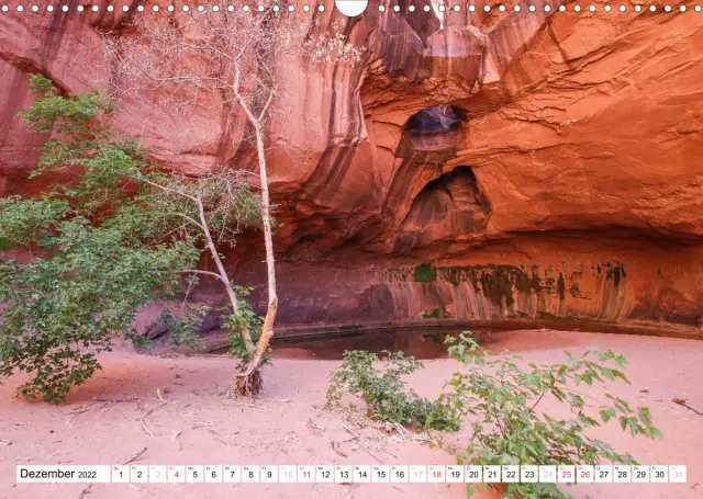 Национальный монумент «Большая лестница-Эскаланте» в Юте является домом для богатого разнообразия пчел: почти половина пчел штата Улей обитает в первоначальных границах недавно уменьшенного памятника