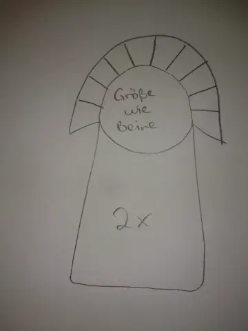 Больше нос, больше челка: размер имеет значение для экохолокации зубатых китов: киты, дельфины и морские свиньи эволюционировали, чтобы использовать одинаковые узкие лучи звука высокой интенсивности д