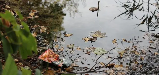 Ученые направляют бактерии с расширенным генетическим кодом на развитие экстремальной устойчивости к жаре: Является ли природный генетический код из 20 аминокислот оптимальным для развития белков с ис