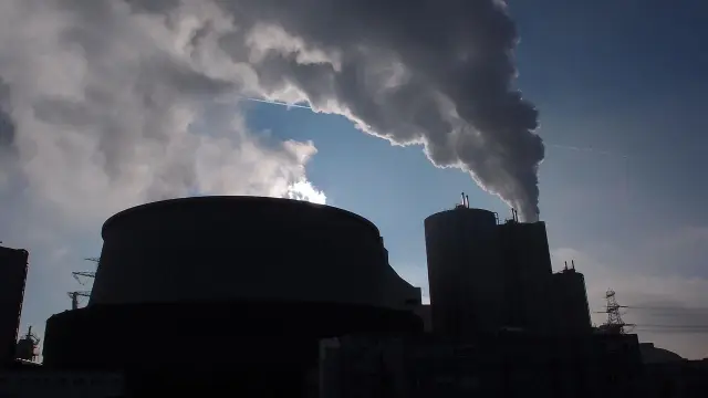 Фрагментация леса препятствует заражению паразитами австралийских ящериц