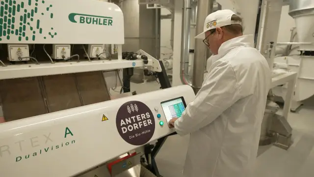 Злаки многофункциональным образом используют химическую защиту от различных травоядных: растения полагаются на свои токсины не только для защиты от гусениц, но и для регулирования механизмов защиты от