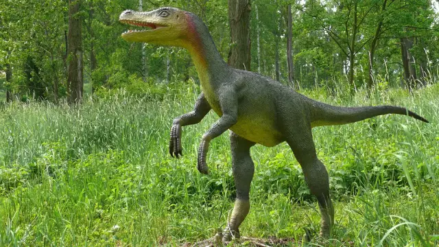 Первый взгляд на полный скелет Thylacoleo, вымершего австралийского «сумчатого льва»: новые находки окаменелостей дают представление о биологии и поведении этого древнего хищника