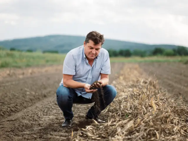 Заброшенные сельскохозяйственные угодья представляют возможности для восстановления среды обитания в пустыне Сан-Хоакин: земли, больше не пригодные для сельского хозяйства, могут быть рекультивированы