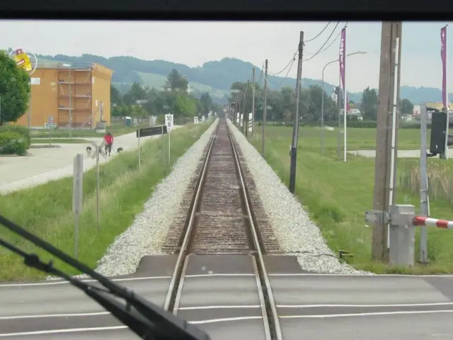 Пальмовое масло не единственная причина потери лесов в Индонезии: Лесные пожары и добыча полезных ископаемых объединяют плантации в качестве угрозы для лесов; политика и практика сохранения должны отр