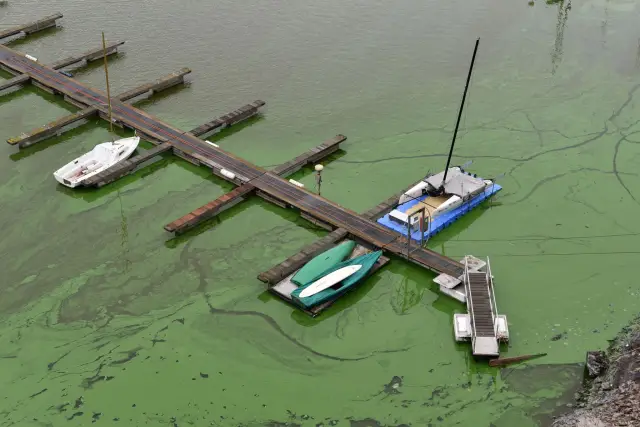 Морские ученые обнаружили токсичные бактерии на микропластике, извлеченном из тропических вод: когда эти крошечные кусочки пластика проглатываются морскими организмами, они могут накапливаться и перен