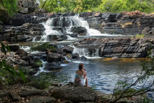Бразильский эндемичный род растений Mcvaughia подчеркивает разнообразие уникального биома: новый род встречается исключительно в недавно признанном биоме сезонно сухих тропических лесов