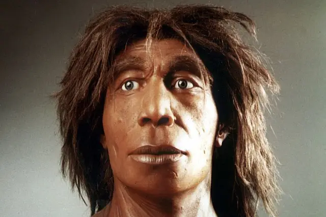 Основным источником пищи неандертальцев определенно было мясо: изотопный анализ, проведенный на отдельных аминокислотах в образцах коллагена неандертальцев, пролил новый свет на их обсуждаемую диету