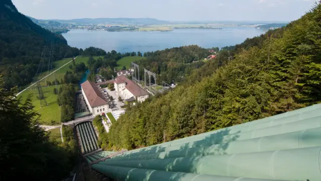 Обнаружена новая стратегия «межвидовой коммуникации» между кишечными бактериями и млекопитающими: исследование описывает использование бактериями молекулярного языка для управления генами хозяина и ег