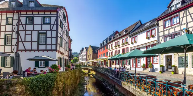 Вымерший родственник ласки со странным черепом, вероятно, ел мясо с овощами: новое биомеханическое исследование показало, что череп странной формы Leptarctus больше всего похож на американский бад