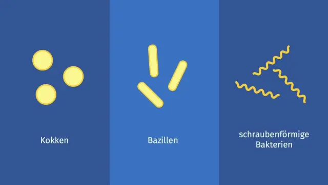 Как бактериальная репликативная геликаза открывается, чтобы начать процесс репликации ДНК: новое открытие может оказаться полезным в разработке нового класса антибиотиков и конструировании молекулярны